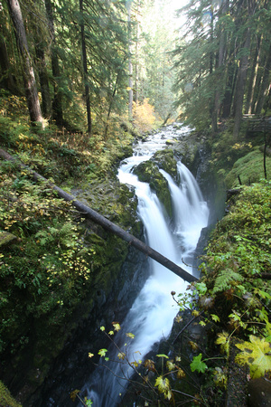 Sol Duc Falls - Olympic National Park